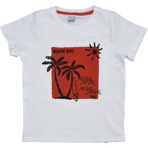 REM. BEACH DAYS